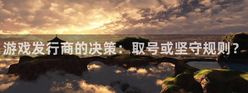 im电竞子文化有什么游戏：游戏发行商的决策：取号或坚守规则？