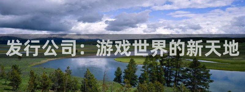 im电竞官网登录注册账号安全吗是真的吗：发行公司：游戏世界的新天地