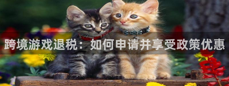im电竞集团：跨境游戏退税：如何申请并享受政策优惠