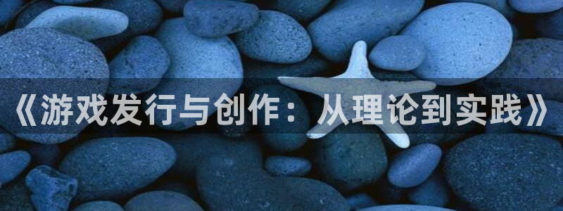 广东im电竞电子科技有限公司：《游戏发行与创作：从理论到实践》