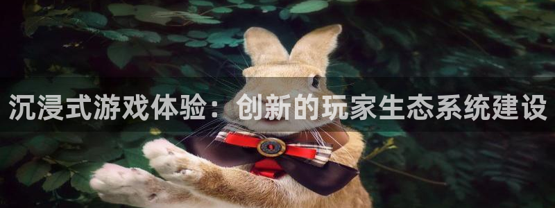 im电竞官网登录注册账号安全吗：沉浸式游戏体验：创新的玩家生态系统建设