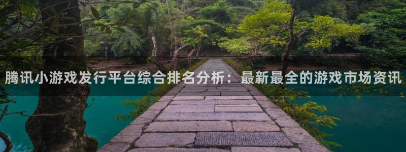 im电竞环境科技有限公司