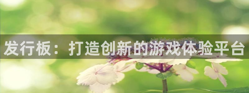 im电竞子代表什么意思：发行板：打造创新的游戏体验平台