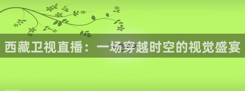 24直播间：西藏卫视直播：一场穿越时空的视觉盛宴