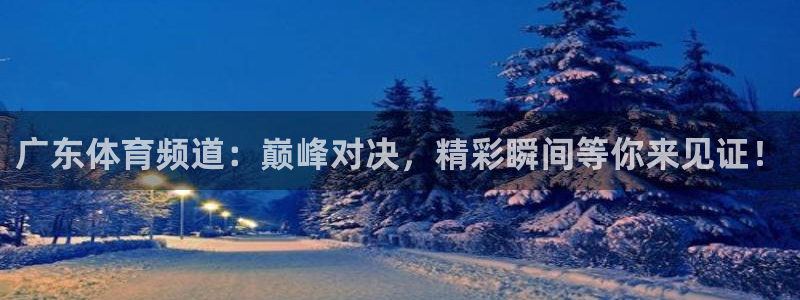 nba直播吧24直播网：广东体育频道：巅峰对决，精彩瞬间等你来见证！
