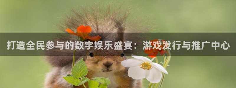 广州im电竞电子商务：打造全民参与的数字娱乐盛宴：游戏发行与推广中心