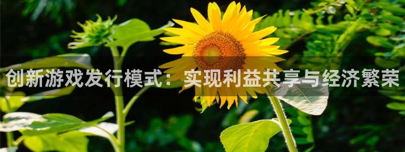 广州im电竞网络科技有限公司怎么样