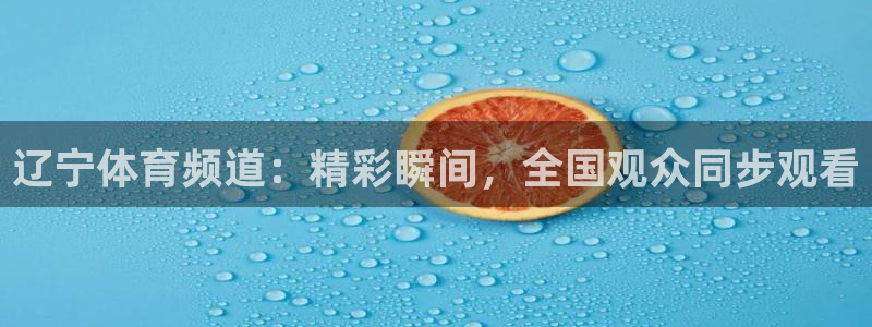24直播我：辽宁体育频道：精彩瞬间，全国观众同步观看