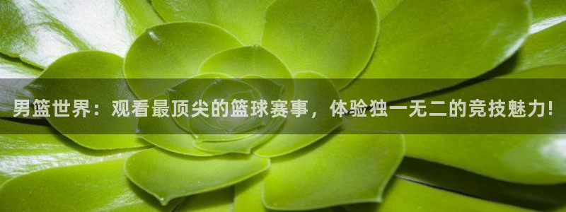24直播网篮球免费直播回放：男篮世界：观看最顶尖的篮球赛事，体验独一无二的竞技魅力!