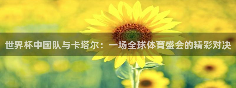 24直播网免费体育直播高清：世界杯中国队与卡塔尔：一场全球体育盛会的精彩对决