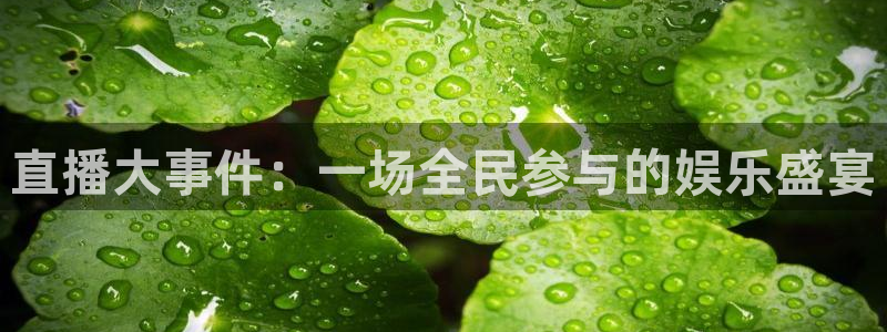 24直播网篮球免费直播：直播大事件：一场全民参与的娱乐盛宴