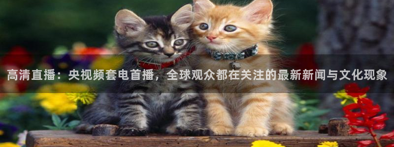 24直播网收费吗：高清直播：央视频套电首播，全球观众都在关注的最新新闻与文化现象