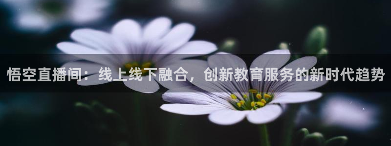 24直播体育免费直播app：悟空直播间：线上线下融合，创新教育服务的新时代趋势