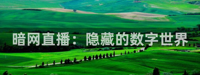 24直播足球高清完整版：暗网直播：隐藏的数字世界
