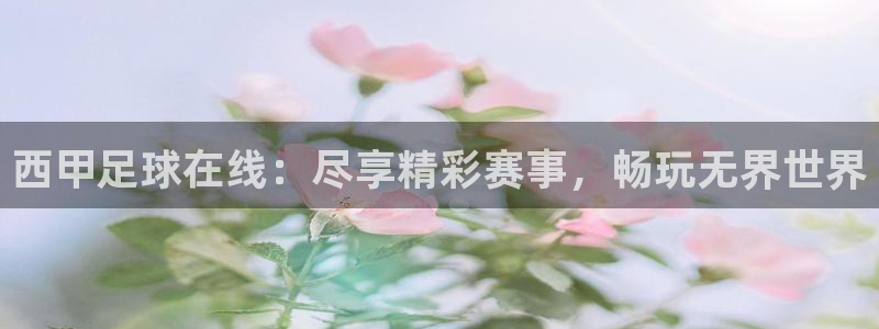 24直播篮球：西甲足球在线：尽享精彩赛事，畅玩无界世界