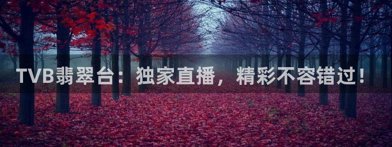 24直播网nba直播足球：TVB翡翠台：独家直播，精彩不容错过！